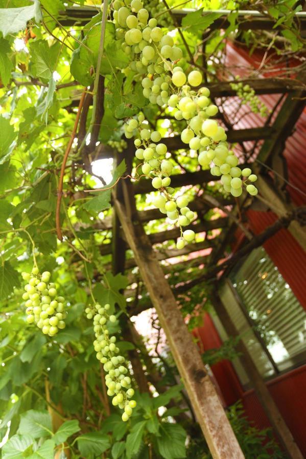 Ostello Grapehouse Koenji Tokyo Esterno foto